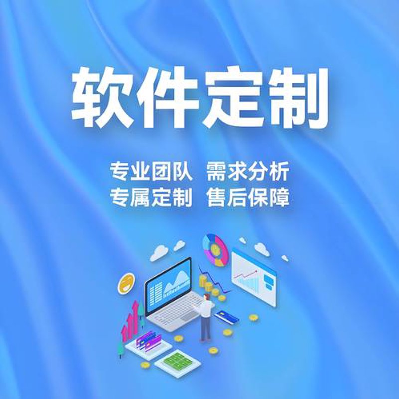 小程序开发:解锁企业数字化转型新工具